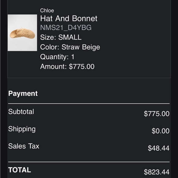 CHLOÉ Capeline Hat In Raffia - Picture 5 of 5